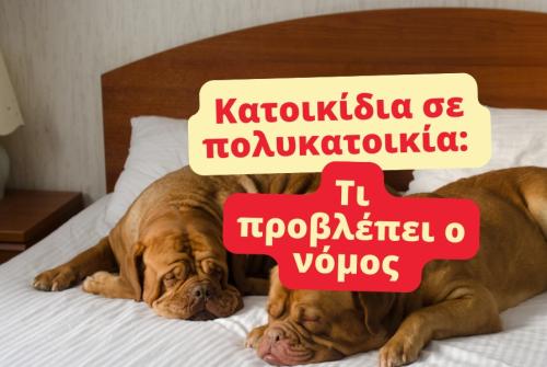 Νόμος για κατοικίδια. 