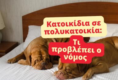 Νόμος για κατοικίδια. 