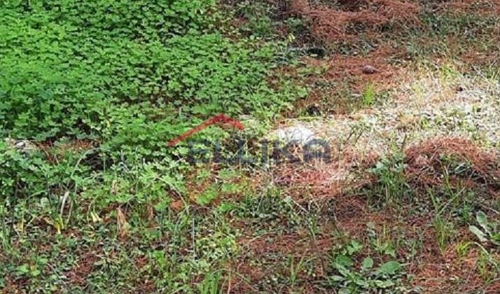 DAFNI BUILDING PLOT 216sq.m. FOR SALE