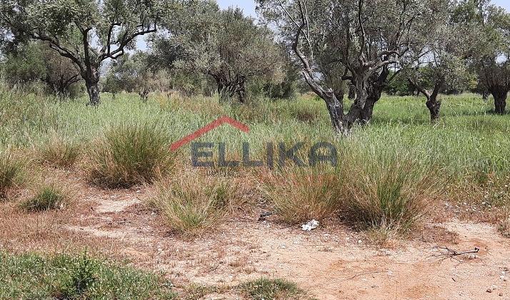 GLYFADA BUILDING PLOT 251sq.m. FOR SALE