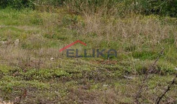 GAZI BUILDING PLOT 225sq.m. FOR SALE