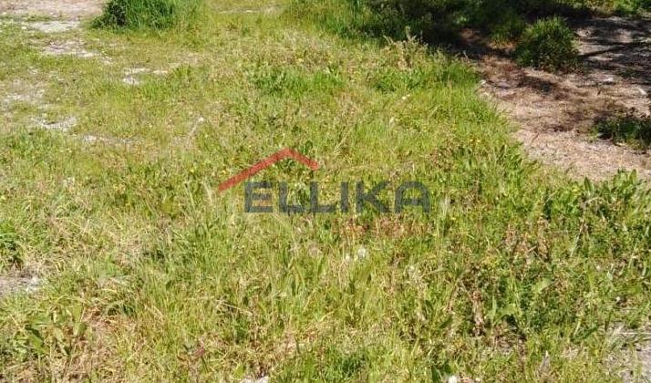 VOTANIKOS BUILDING PLOT 130sq.m. FOR SALE